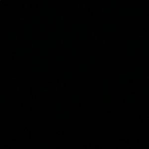 Meet your Posher, Emilee